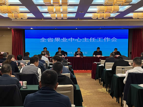 陕西全省果业主任工作会：重新命名苹果猕猴桃基地县